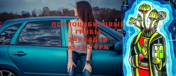 бутират Лагань